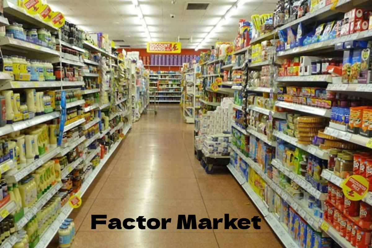 factor-market-defination-principles-types-and-more