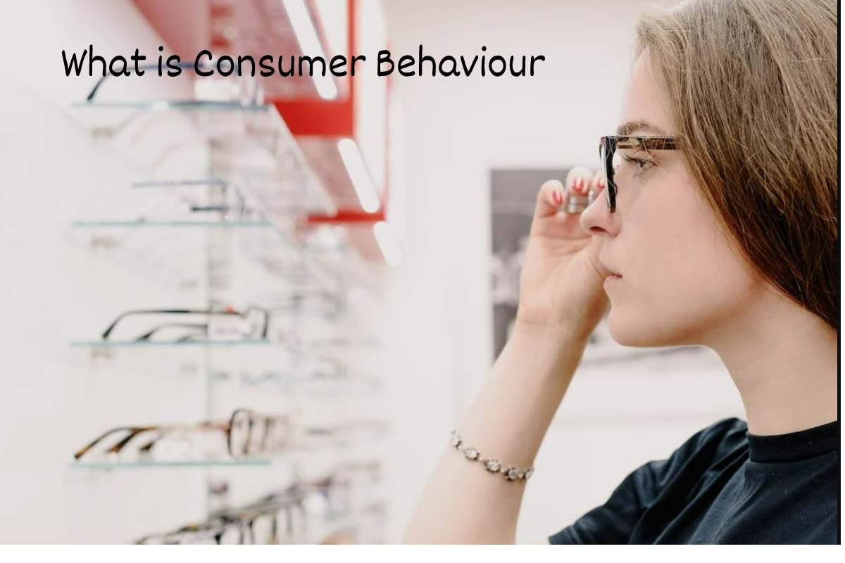 What is Consumer Behaviour Types, Factors, And More