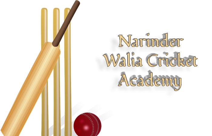 Narinder Walia Cricket Academy